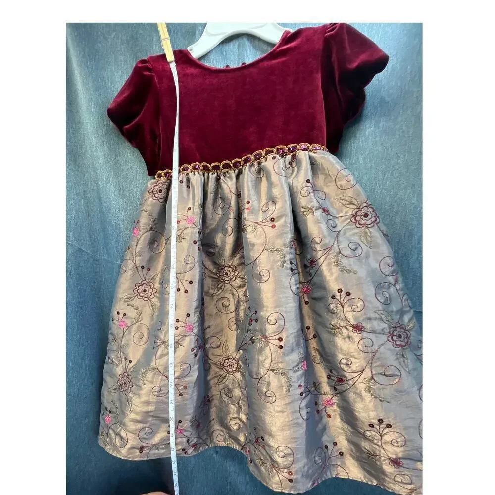 3T Girls Toddlers Redvine Velvet Light Shimmer Brown Floral Embroidery Holiday